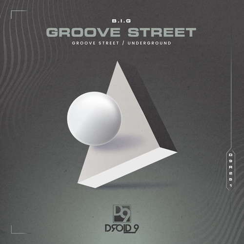 B.I.G (AR) - Groove Street [D9R251]